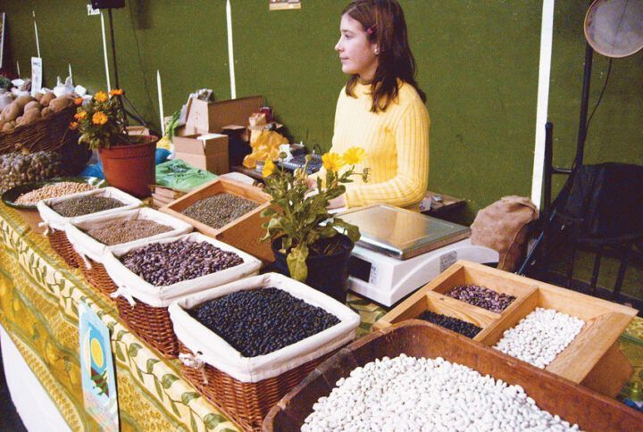 De las alubias mágicas a las alubias ecológicas