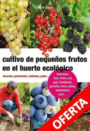 Cultivo pequeños frutos – CUBIERTA GRANERO Cultivo pequeños frutos – CUBIERTA GRANERO