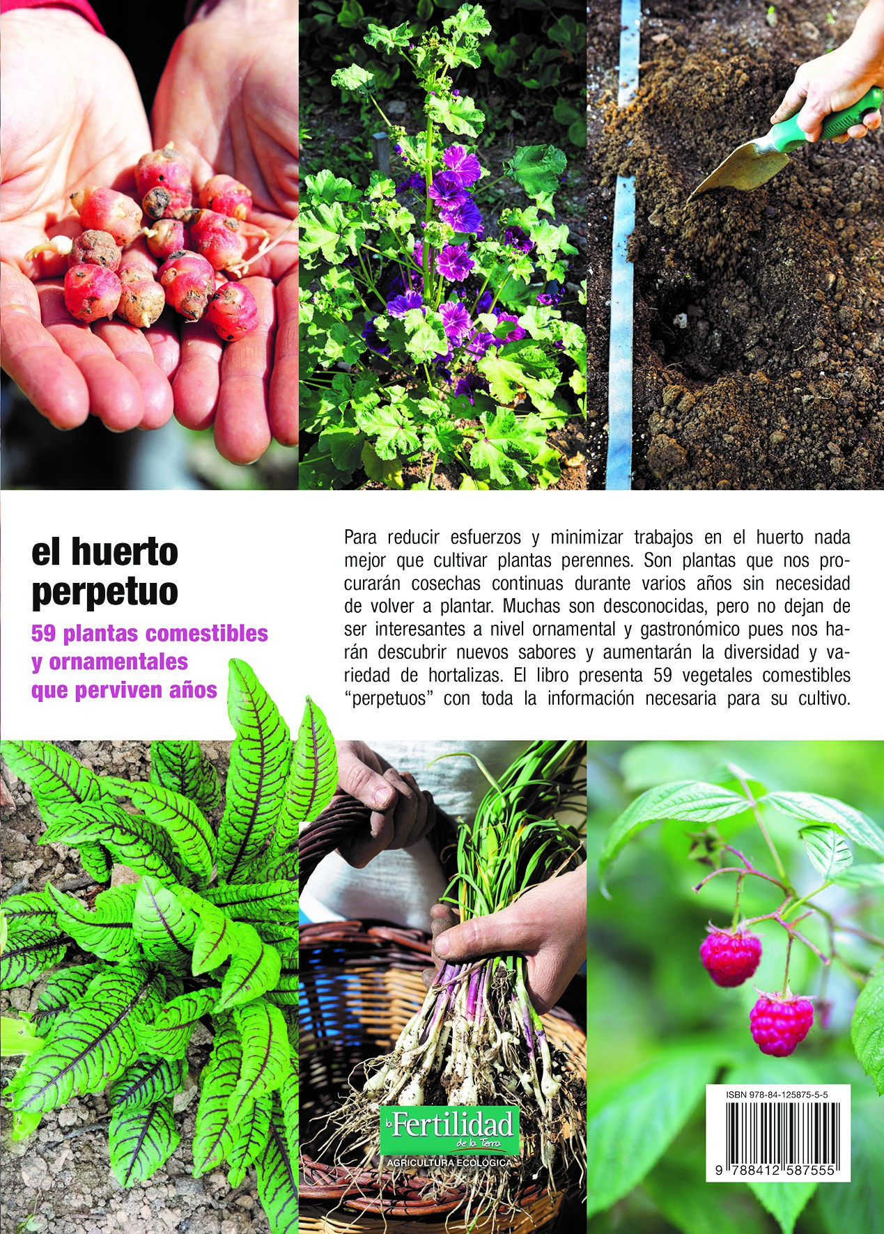 El huerto perpetuo – CONTRAPORTADA El huerto perpetuo – CONTRAPORTADA